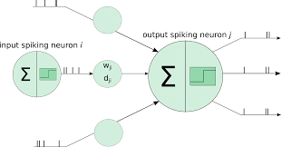 spiking neural network