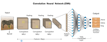 convolutional neural network image classification