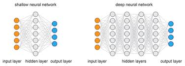 shallow neural network