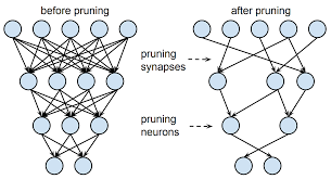 sparse neural network