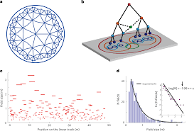 hyperbolic neural networks