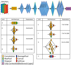 inception neural network