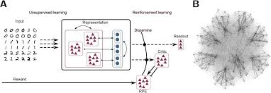 reinforcement neural network