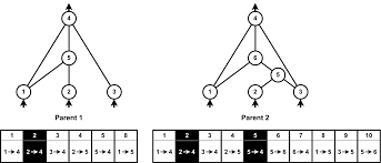 neat neural network