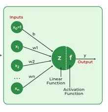 neural programming