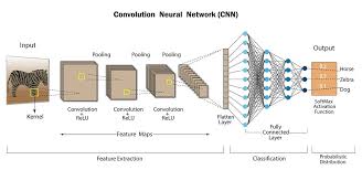 fully convolutional neural network