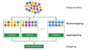 bagging neural networks