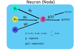 basic neural network python