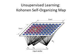 kohonen neural network