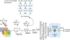 bayesian convolutional neural networks