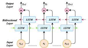 bidirectional neural network