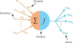 deep learning neuron