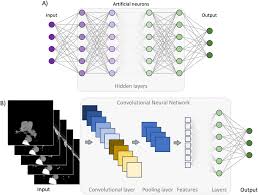 deep neural network algorithm