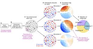 self organizing neural network