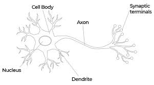 bnn neural network