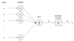 single neuron neural network