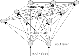 som neural network