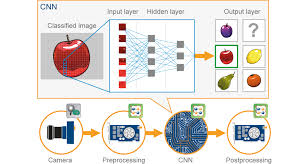 best neural network for image classification