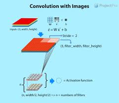 neural network for classification python