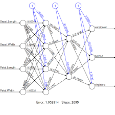 nn neural network