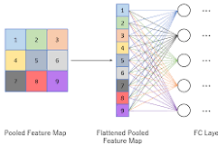 fully connected layer in cnn