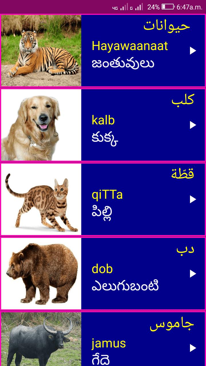 arabic to telugu translation