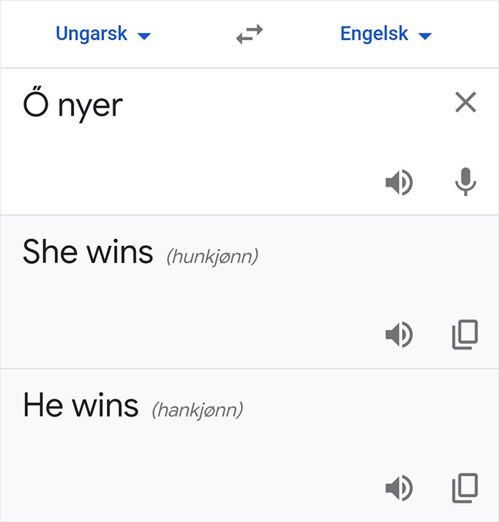 norwegian google translate